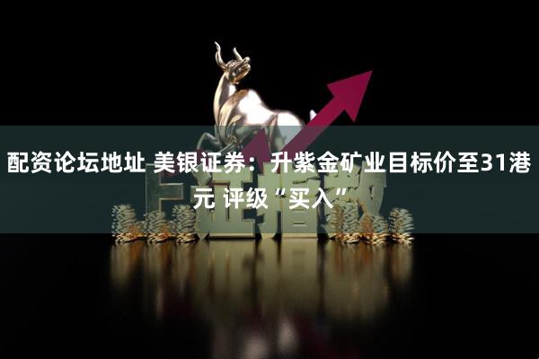 配资论坛地址 美银证券：升紫金矿业目标价至31港元 评级“买入”